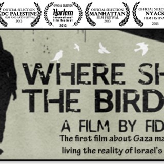 Τα πουλιά δεν πετάνε στη Γάζα