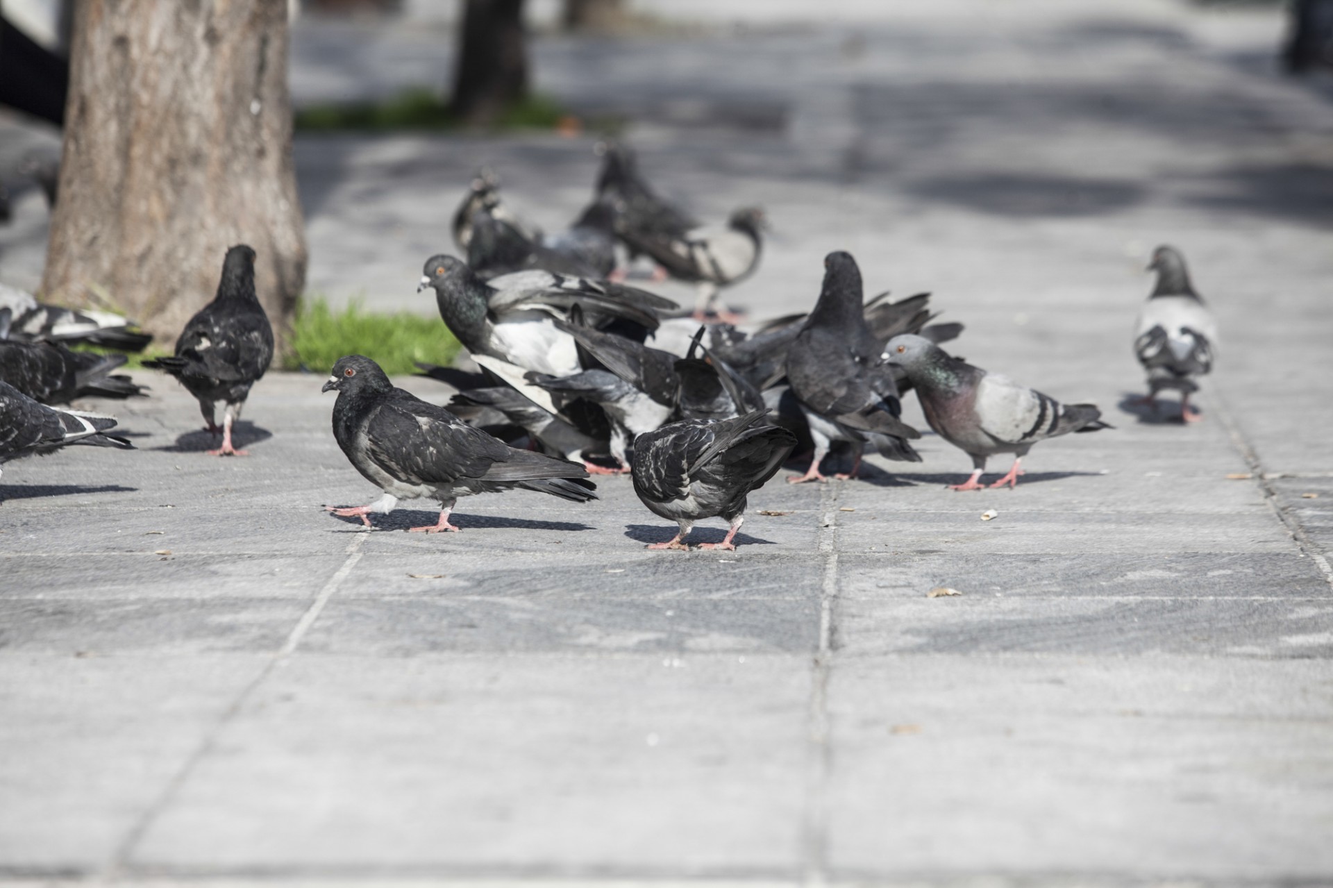 ╬Σ╬α╬Ω╬ζ╬Σ-10