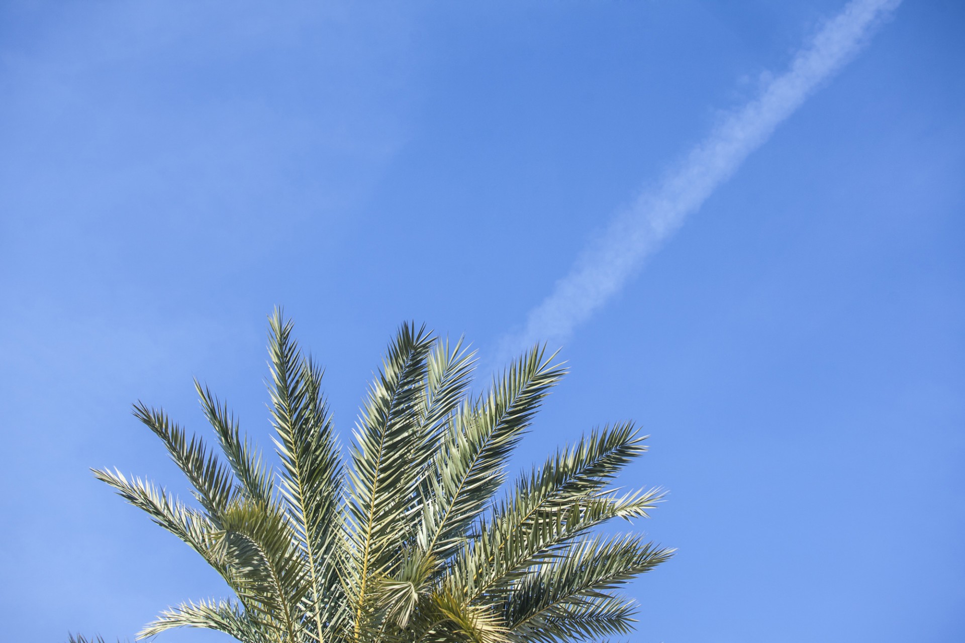 ╬Σ╬α╬Ω╬ζ╬Σ-28